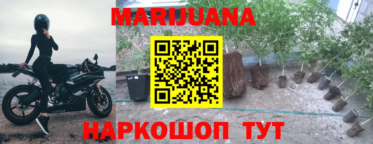 Марихуана VHQ Донецк